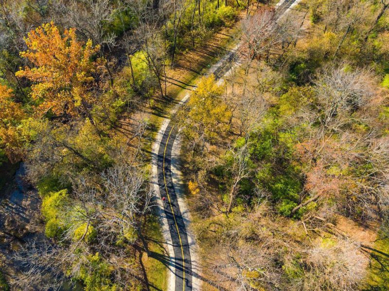 Overhead image of road surrounded by fall foliage