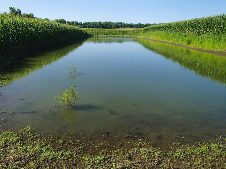 Drainage ditch in a field