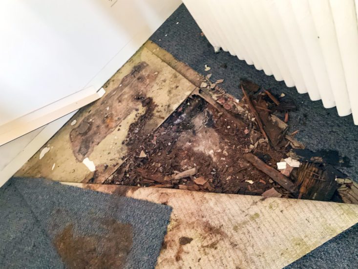 Rotten subfloor