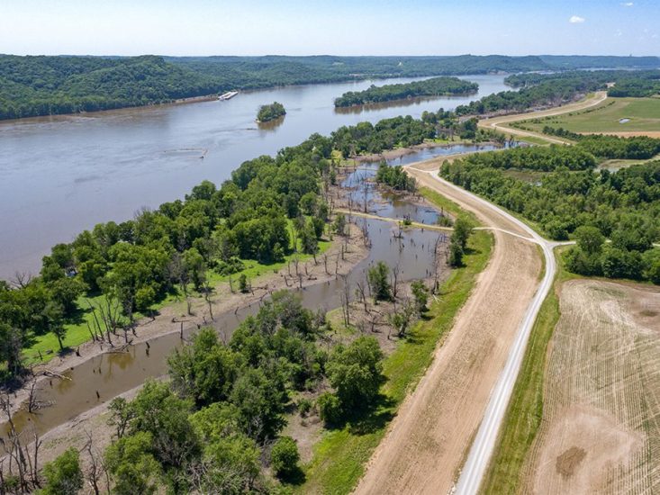 Wetland between a river and levee