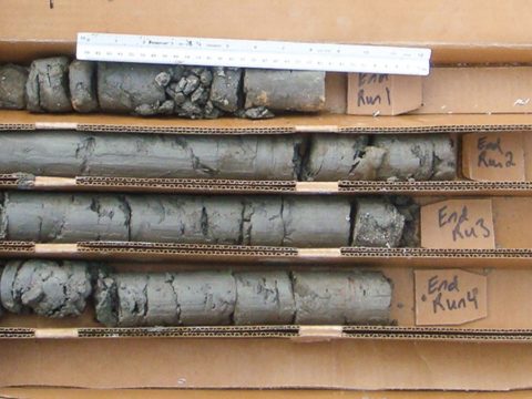 Soil borings lined up and labeled in a box